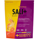 Sali+ Electrolyte - Apelsin